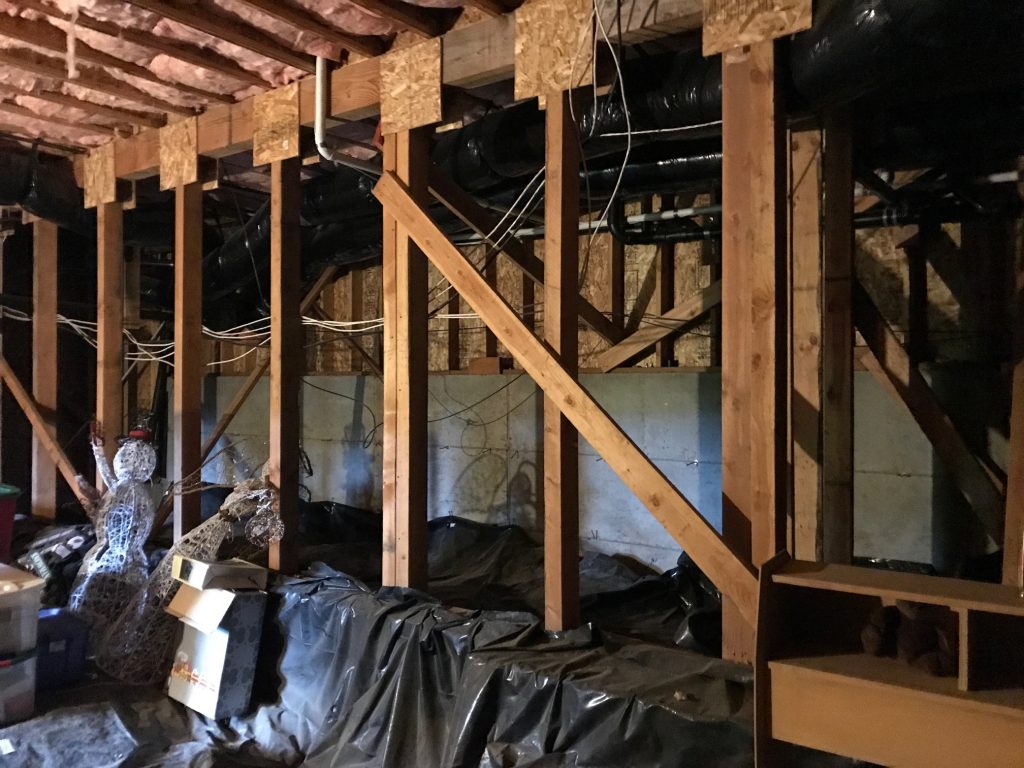 Portland Basement Media Room Remodel