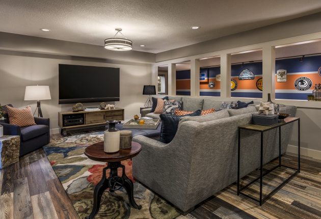 Basement Remodel Television